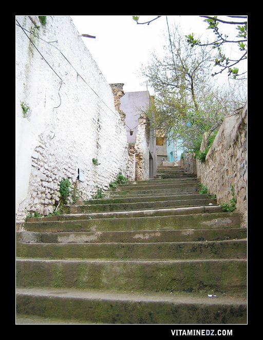 Tlemcen : El Eubbad .