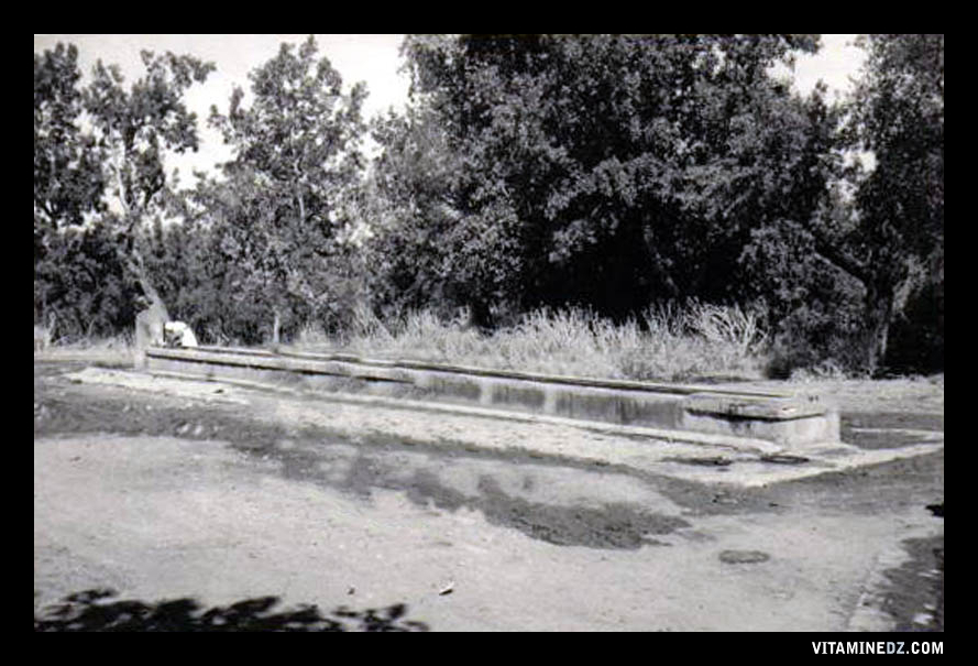 L'abreuvoir Nord de Brea