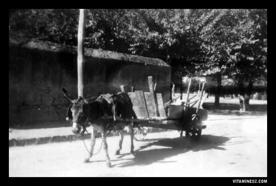 Bréa : la benne de ramassage pour l'entretien des rues assuré par un cantonnier