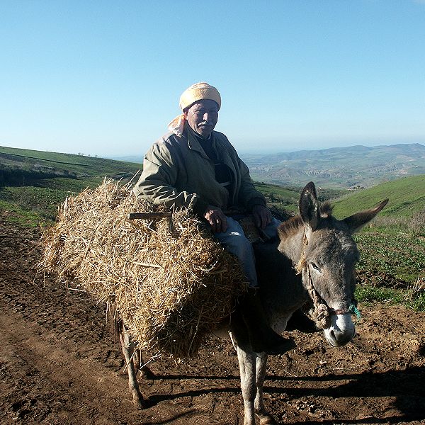 Paysan de Sebae Chioukh