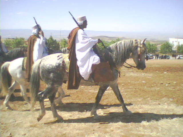 Cavalier waada Sebaa Chioukh 1