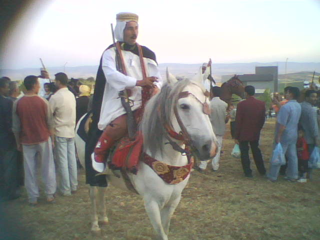 Cavalier waada Sebaa Chioukh 2