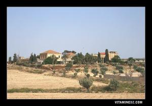 Ferme agricole de style colonial entre Chaabat El ham ex- Laferrière et Aïn Témouchent