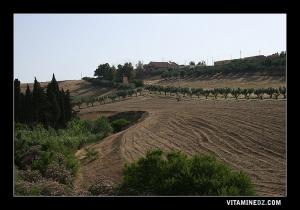 Ferme agricole de style colonial à la sortie de Aïn Témouchent vers Aïn Kial