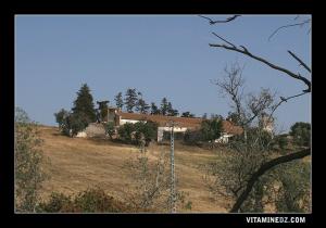 Ferme agricole de style colonial entre Aïn Témouchent et Aïn Kihel