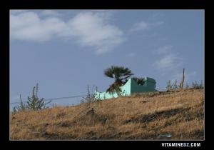 Sidi El Hachemi, sur les hauteurs de Aïn El Kihal