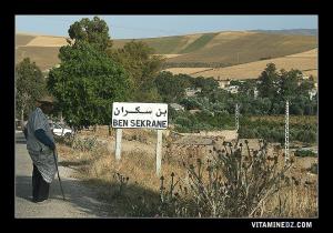 Village de Bensekrane