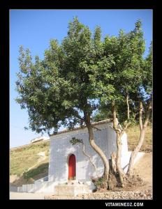 le marabout de Sidi El Haloui