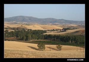 Vue Générale de Amieur