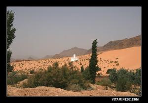 Tombeau de Sidi Mâmar Ben El Aliya