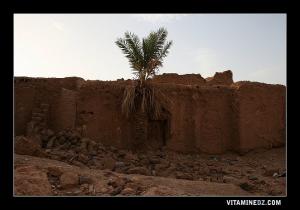 Ancien Ksar en ruines à Labiodh Sidi Chikh