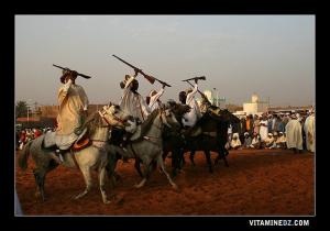 Fantasia à la waada de Sidi Chikh