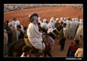 Vieux Cavalier venant de Sidi Belabbes à la Waada de Sidi Cheikh