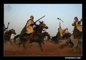 Les troubadours de Sidi Cheikh, Trompette, Gallal et Karkabou au programme