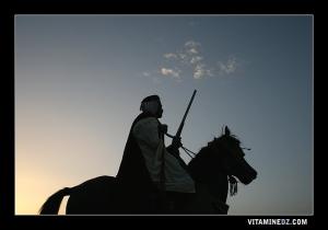 Cavalier à Labiadh Sid Ech cheykh