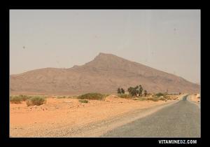 Djbel Tamda et Djbel Tanount 2 chaines montagneuse entre lesquels est située Boussemgoun