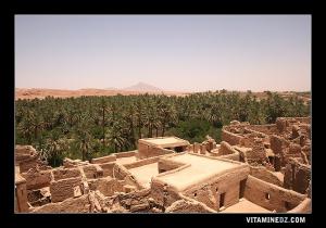 Ksar de Boussemghoun : Palmeraie et jardins