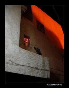 Fenêtre d’une maison mozabite