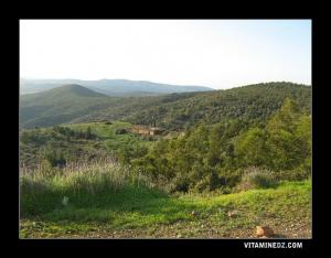 Monts des Traras à Beni Ouersous