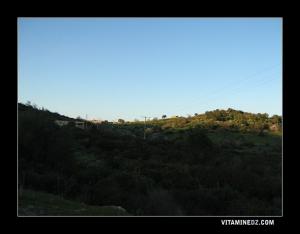 Le Village fantôme de Souk Larbaa ou Elarba
