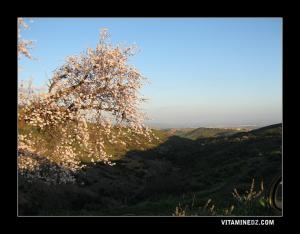 Le village de Tizaghan dans le Beni Ouarsous