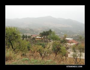 Ferme à l'entrée de Miliana