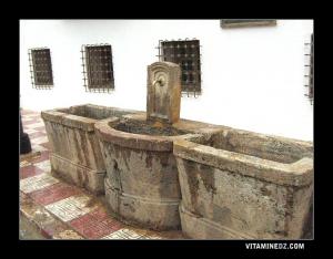 Fontaine, Abreuvoire à Miliana