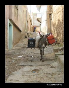 Ruelles où seuls les anes peuvent arpenter à Ain Douze