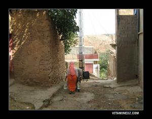 Ane transportant de l'eau à Ain Douze