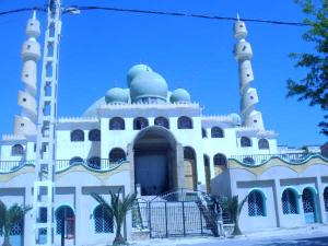 grande mosque de tiaret