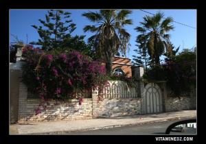 Une villa de Canastel