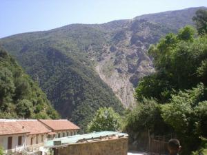 Le ruisseau des singes à la chiffa