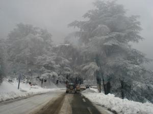 Paysage de Chréa sous la neige