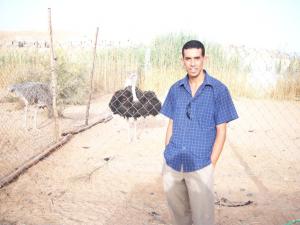 conservation des forets ghardaia