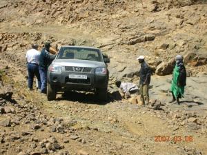 NISSAN à tamanrasset