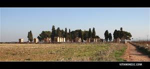 Cimetière chrétien de Gdyel ex- Saint Cloud