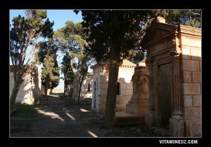Cimetière chrétien de Gdyel ex- Saint Cloud