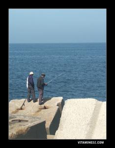 Pêcheurs de Ghazaouet