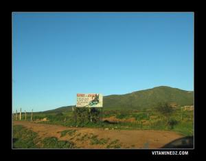 La montagne des lions ... Elevage des loups?