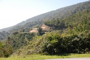 Route menant de Annba vers Séraidi