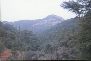 Paysage de la commune Chelia, Khenchela