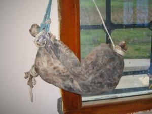 جربة تقليدية قديمة بالمكتبة العمومية لمدينة  دراع قبيلة