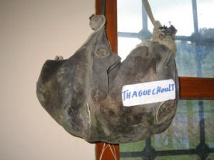 جربة تقليدية قديمة بالمكتبة العمومية لمدينة  دراع قبيلة  1