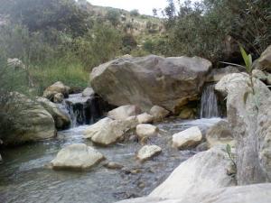 فم الحمام  بولاية  تيسمسيلت