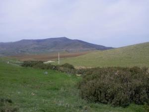 الحقول الربيعية بضواحي مدينة  تازة