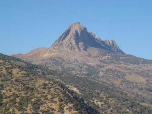 صورة لجبل  بوقايد  1