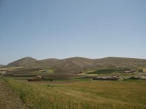 حقول منطقة  أم لحلو  بضواحي  تيسمسيلت