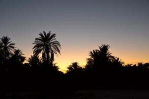 طلوع الشمس على واحات  تندوف