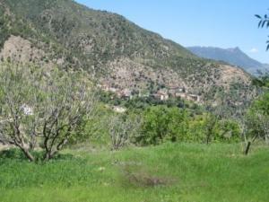 الربيع ببلدية  المروج