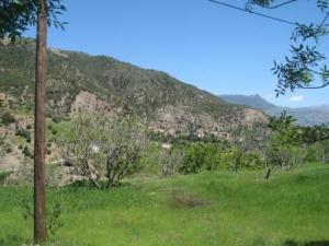 حلول الربيع على بلدية  المروج